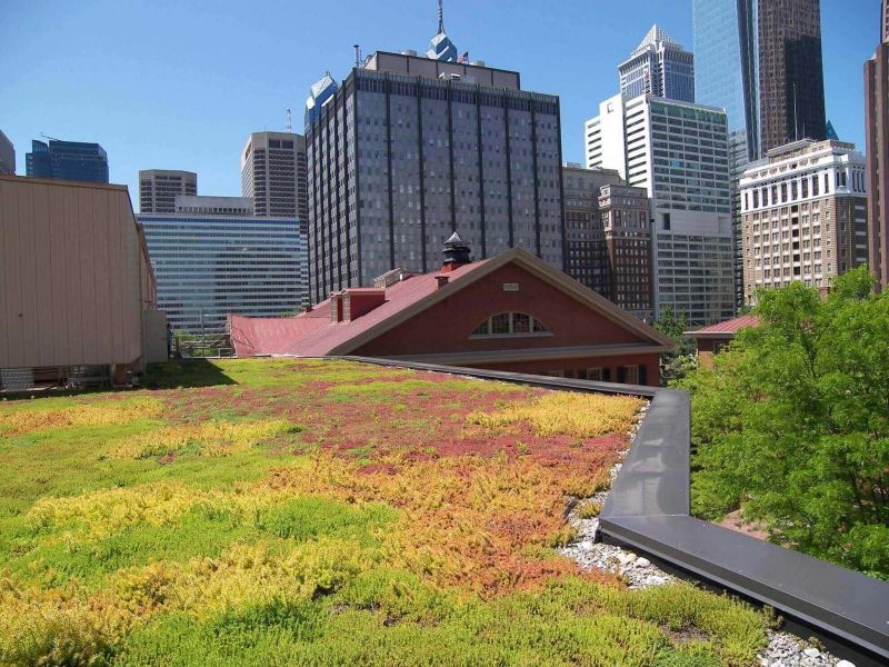 paysagiste-AMPUS-min_green-roof-portfolio-4